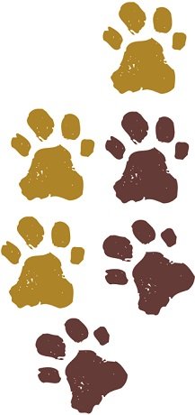 6 pcs Simba Paw Prints Pawprints Tracks Cub Disney The Lion King Movie ...