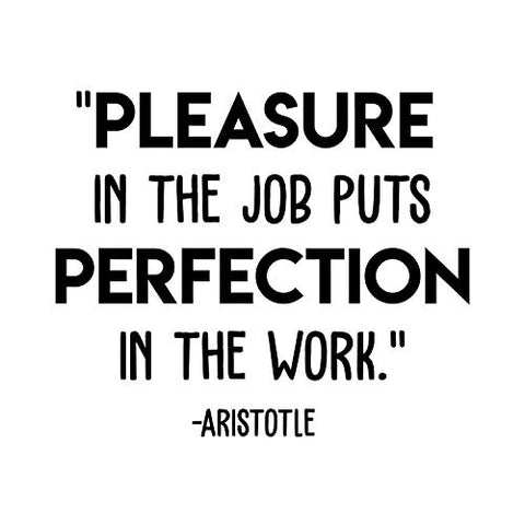 Vinyl Wall Art Decal - Pleasure in The Job - 17" x 21" - Trendy Motivational Quote for Home Office Space Work Place Decoration Sticker
