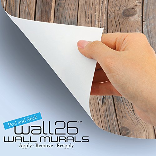 wall26 - Dripping Paint Graffiti Wall Close - Removable Wall Mural, S