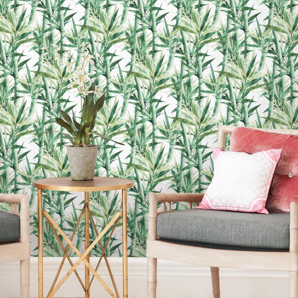 Buy JAAMSO ROYALS Green bamboo tree wallpaper selfadhesive peel  stick   45 CM x 200 CM  Pack of 1 Online at Low Prices in India  Paytmmallcom