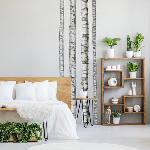 REALISTIC BIRCH TREES PEEL AND STICK GIANT WALL DECALS